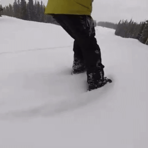 skibladespro2